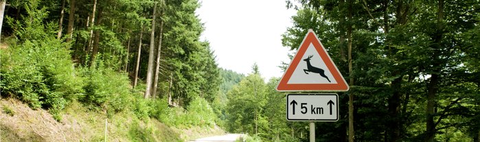 Waldrand mit einem Warnschild vor Wildwechsel.