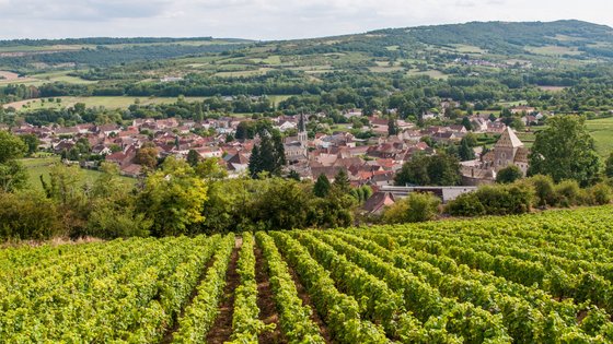 Blick von oben auf Weinberge und ein historisches Dorf.