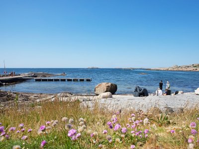 Nordische Küstenlandschaft mit einem Steg, Blumen und Felsen