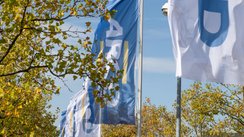 Fahnen des ARCD wehen im Wind.