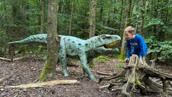 Dinosaurier im Dinosaurier Museum Altmühltal mit einem Jungen