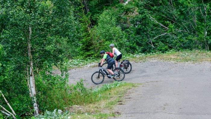 Zwei Radfahrer fahren bergab auf einem Radweg im Wald.
