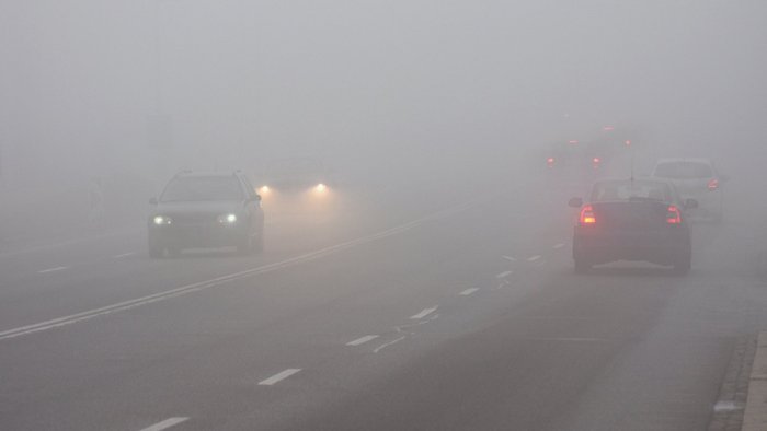 Fahrzeuge im Nebel