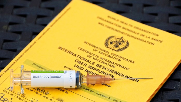 Eine Spritze liegt auf einem Impfpass.