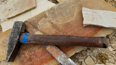 Hammer und Meißel mit Fossilien