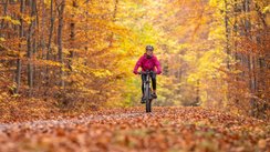 Eine Frau fährt im Herbst auf einem Mountainbike durch den Wald.