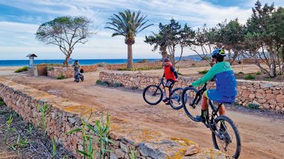 Zwei Radler fahren auf einem Weg in Richtung Meeresufer.