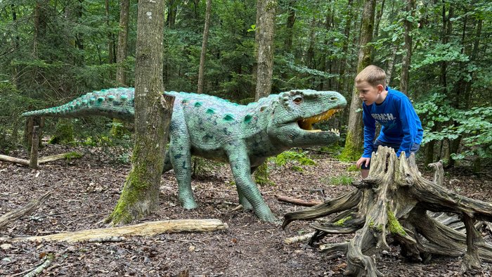 Dinosaurier im Dinosaurier Museum Altmühltal mit einem Jungen