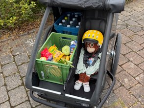 Der Croozer Yuuna mit einem Kindersitz und Trennnetz.