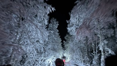 : Ein Schneemobil fährt durch eine verschneite Landschaft in Schwedisch Lappland. 