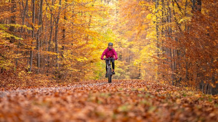 Eine Frau fährt im Herbst auf einem Mountainbike durch den Wald.