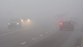 Fahrzeuge im Nebel
