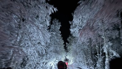 : Ein Schneemobil fährt durch eine verschneite Landschaft in Schwedisch Lappland. 