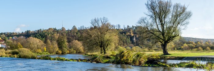 Landschaft mit Fluss und Bäumen in Weiden.
