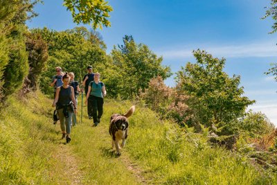Wandergruppe geht mit Hund einen Wanderweg entlang.
