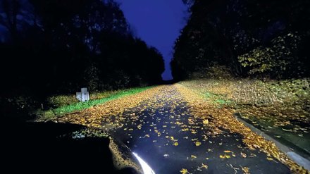 LED-Abblendlicht auf einer Straße mit vielen Blätter.