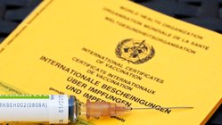 Eine Spritze liegt auf einem Impfpass.