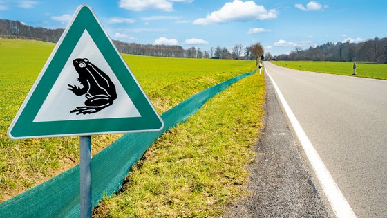 Verkehrsschild und Kröten-Schutzzaun am Straßenrand