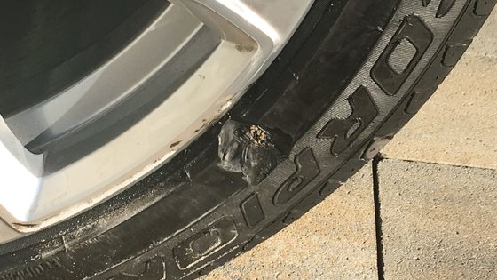 Autoreifen Gummi seitlich beschädigt.