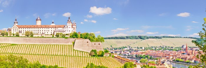Die Würzburger Burg.