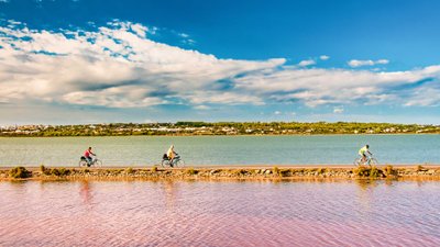 Radfahrer fahren auf einem Damm an Salinenbecken vorbei.