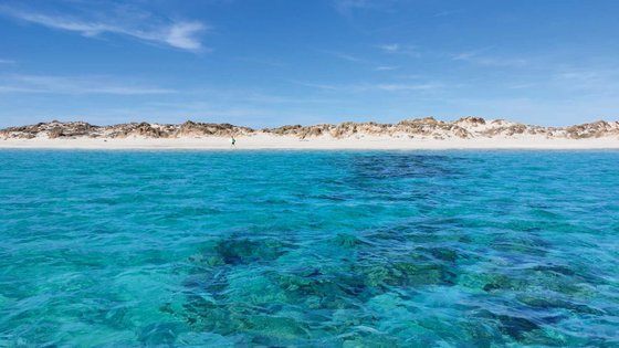 Blick vom Wasser aus auf einen langgezogenen Sandstrand mit Dünen.