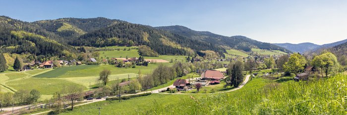 Landschaft mit Wiesen und Wald.