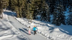 2 Personen fahren Schlittschuh im Wald
