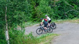 Zwei Radfahrer fahren bergab auf einem Radweg im Wald.