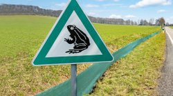 Verkehrsschild und Kröten-Schutzzaun am Straßenrand