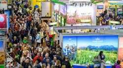 Messegeschehen im Bereich Touristik auf der Freizeit-Messe Nürnberg.