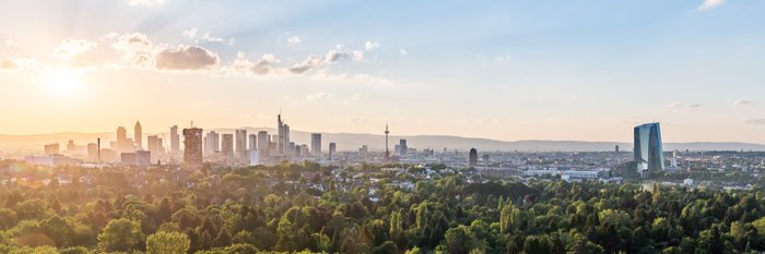 Wald, im Hintergrund eine Stadt.
