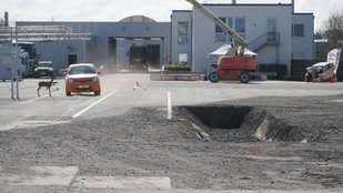 Fahrzeug weicht in einem Crashtest einer Reh-Attrappe aus.