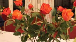 Blumen der OC Veranstaltung Aller-Weser.