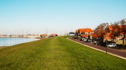 Blick vom Deich auf eine friesische Ortschaft mit Hafen