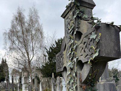 Der Friedhof Glasnevin Graveyard ist der größte Irlands. 