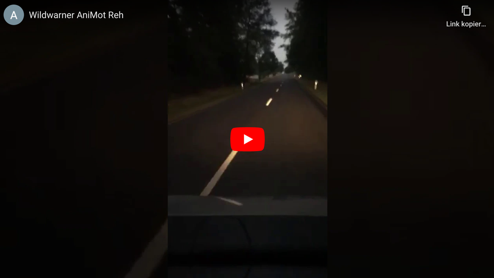 Video-Vorschaubild
