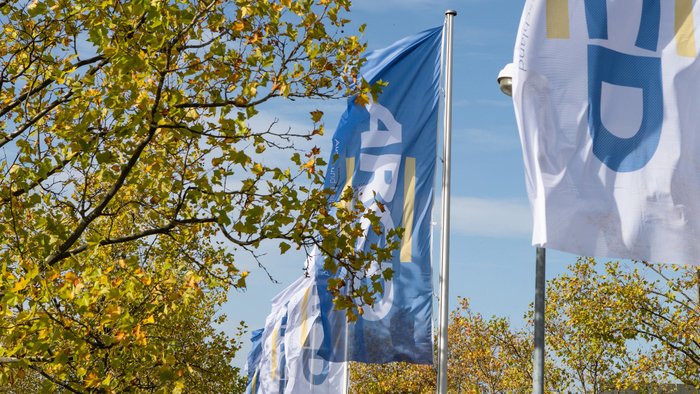 Fahnen des ARCD wehen im Wind.