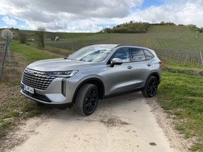 Haval H6 steht auf einem Feldweg. 