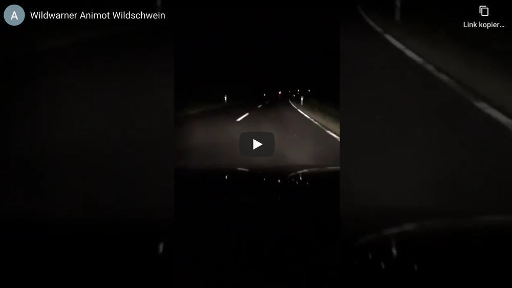 Video-Vorschaubild