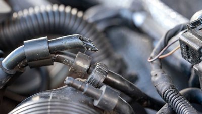 Marderschaden im Motorraum eines Autos.