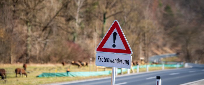 Verkehrsschild warnt vor der Kröten-Wanderung