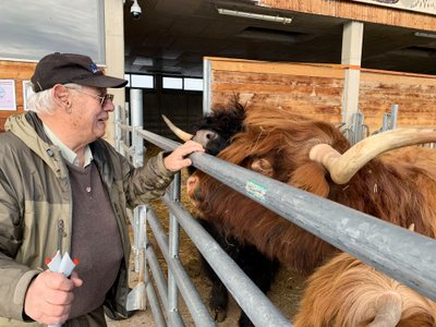 Ein Landwirt mit einem Hochlandrind im Stall.