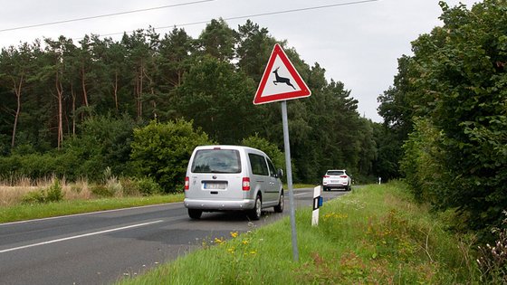 Verkehrszeichen Wildwechsel, im Hintergrund eine Landstraße mit Reh im Wald.