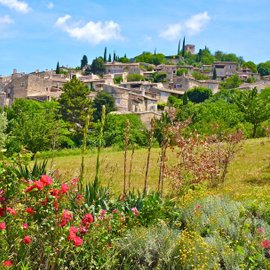 Blick auf ein am Hang gelegenes Dorf mit historischen Steinhäusern, davor Blumen und Wiese.