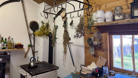 Kräuter für Kräutersticks für die Raunächte hängen zum Trocknen in einer Hütte.