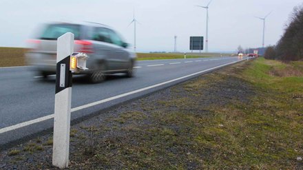 Fahrbahn mit Leitpfosten mit Wildwarn-Sensor.