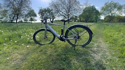 Das Cube Editor Hybrid auf einer Frühlingswiese.