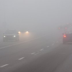 Fahrzeuge im Nebel
