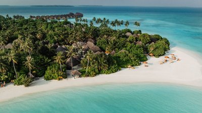 Blick auf einen Traumstrand mit Palmen und türkisblauem Wasser